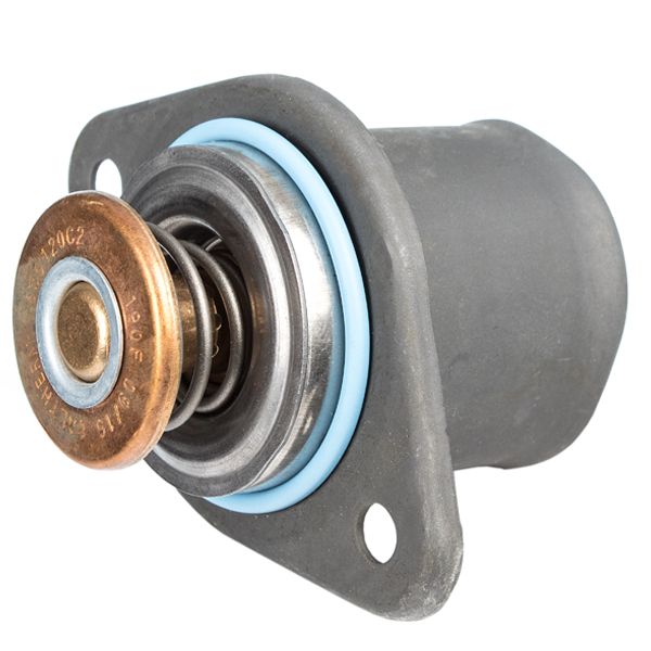 THERMOSTAT ASSY